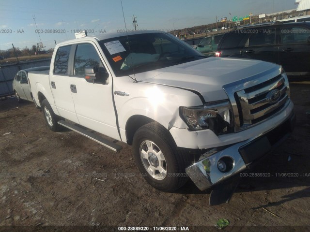 FORD F-150 2012 1ftew1cm6cfa19937