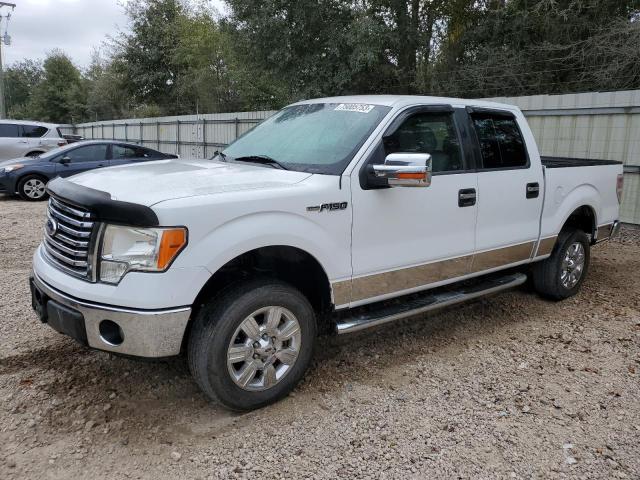 FORD F-150 2012 1ftew1cm6ckd29013