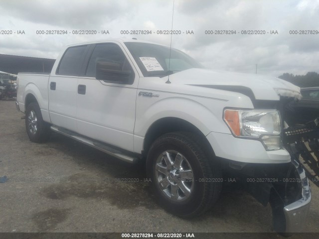 FORD F-150 2012 1ftew1cm6ckd41923