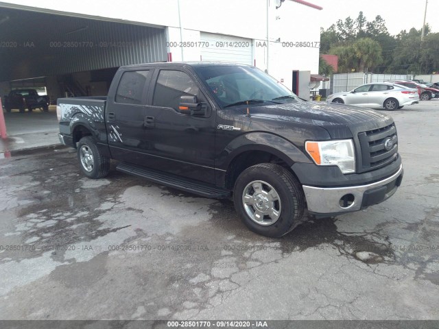 FORD F-150 2013 1ftew1cm6dfa20426