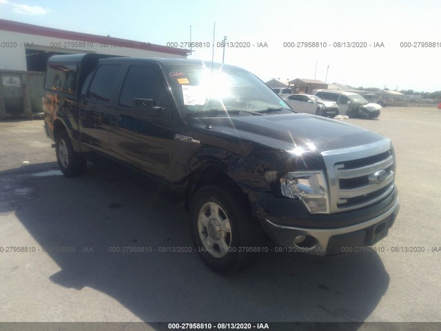 FORD F-150 2013 1ftew1cm6dfa37341