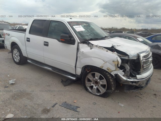 FORD F-150 2013 1ftew1cm6dfb06397