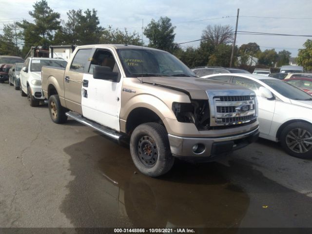 FORD F-150 2013 1ftew1cm6dfb64820