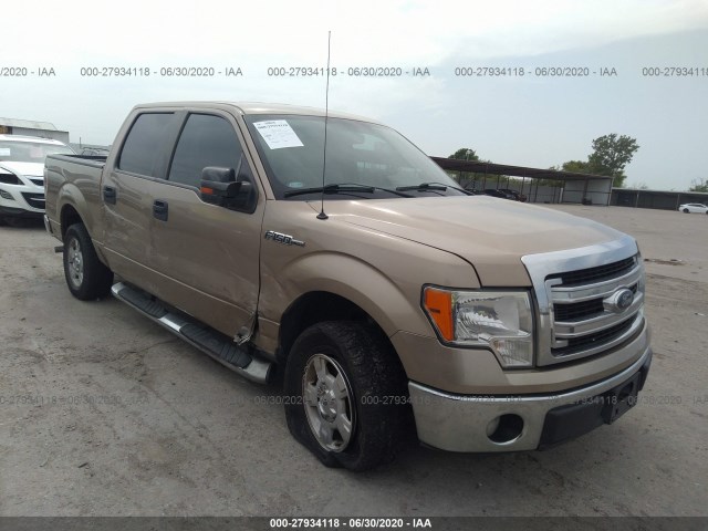 FORD F-150 2013 1ftew1cm6dke19067