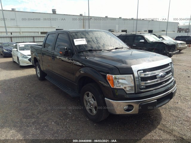 FORD F-150 2014 1ftew1cm6efa71507