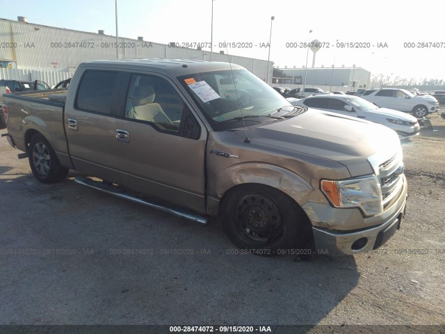 FORD F-150 2014 1ftew1cm6efc15573