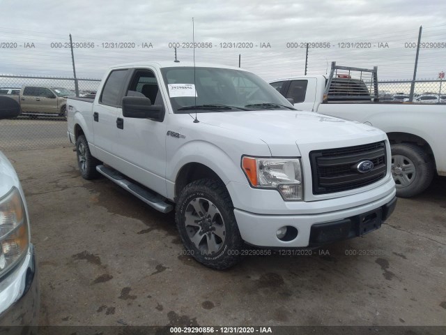 FORD F-150 2014 1ftew1cm6efc42045