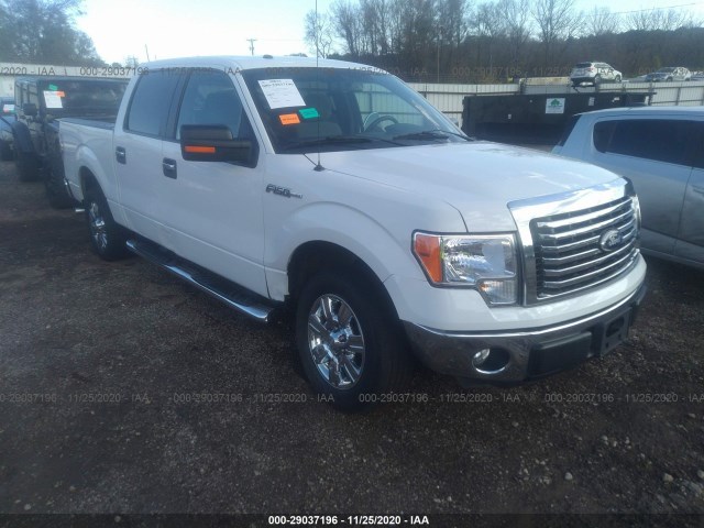 FORD F-150 2011 1ftew1cm7bfa08699