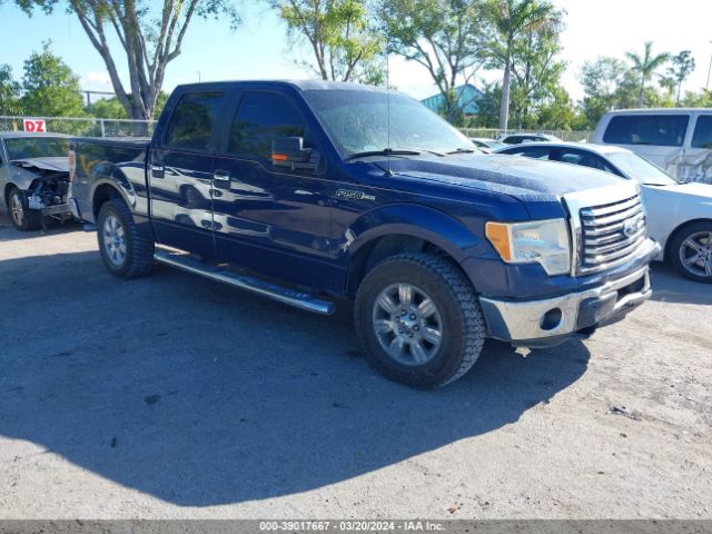 FORD F-150 2012 1ftew1cm7cfa36066