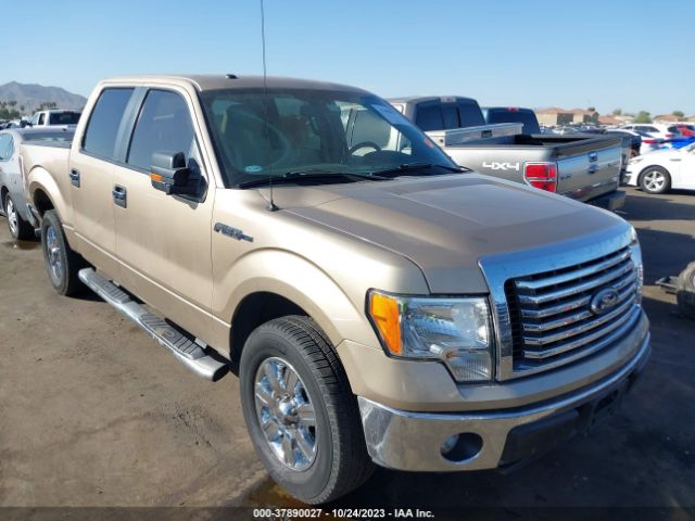 FORD F-150 2012 1ftew1cm7ckd04105