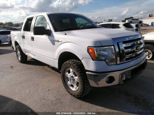 FORD F-150 2012 1ftew1cm7cke19285