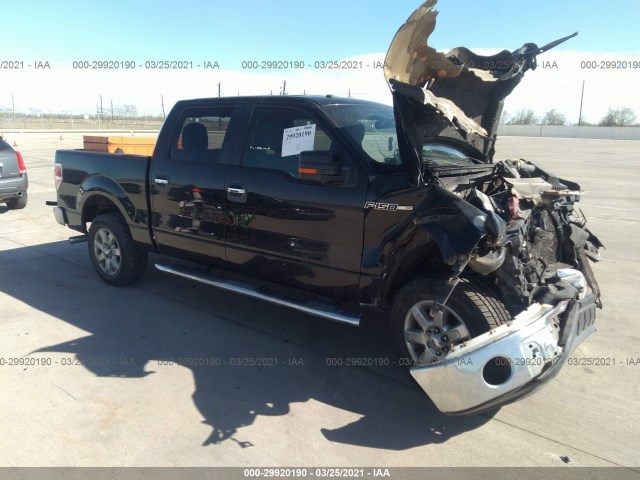 FORD F-150 2013 1ftew1cm7dfe01766