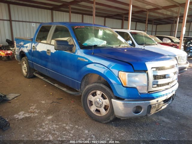 FORD F-150 2013 1ftew1cm7dfe02884