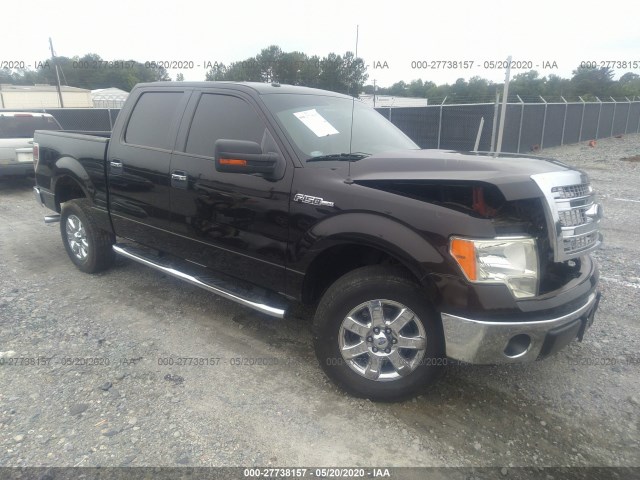 FORD F-150 2013 1ftew1cm7dkf58897