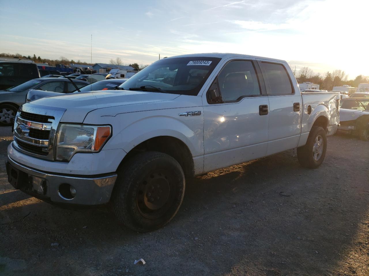 FORD F-150 2013 1ftew1cm7dkf75991