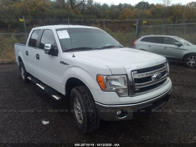 FORD F-150 2014 1ftew1cm7efc00824