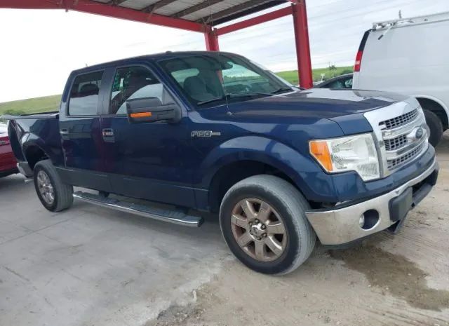 FORD F-150 2014 1ftew1cm7efc27022