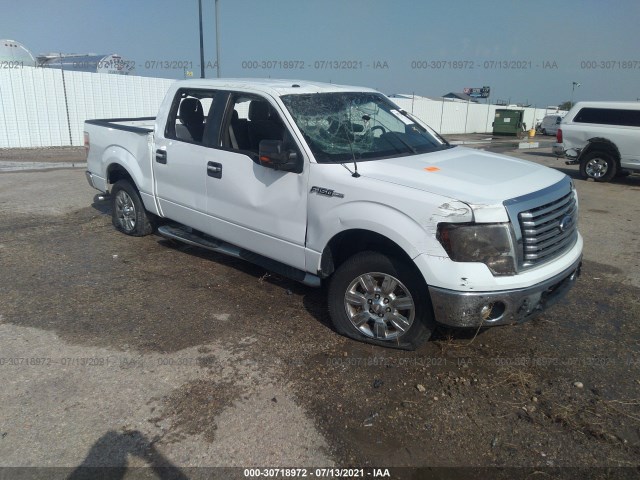 FORD F-150 2011 1ftew1cm8bfc90867