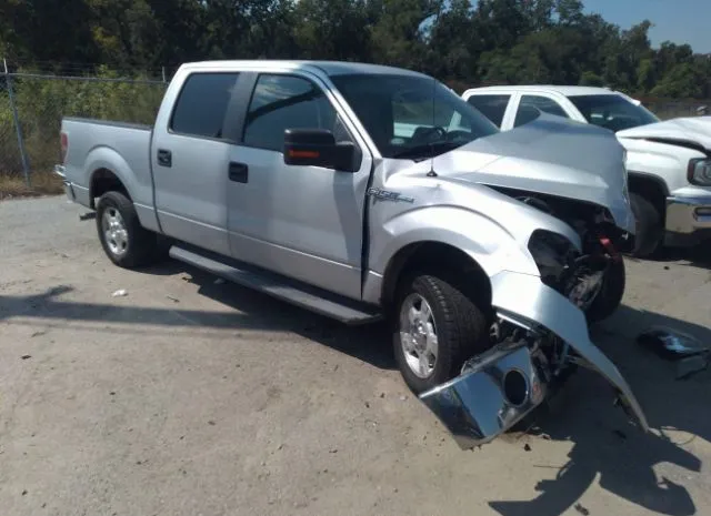 FORD F-150 2011 1ftew1cm8bkd57667