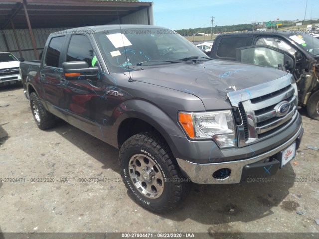 FORD F-150 2012 1ftew1cm8cfa11855