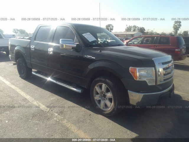 FORD F-150 2012 1ftew1cm8cfc25163