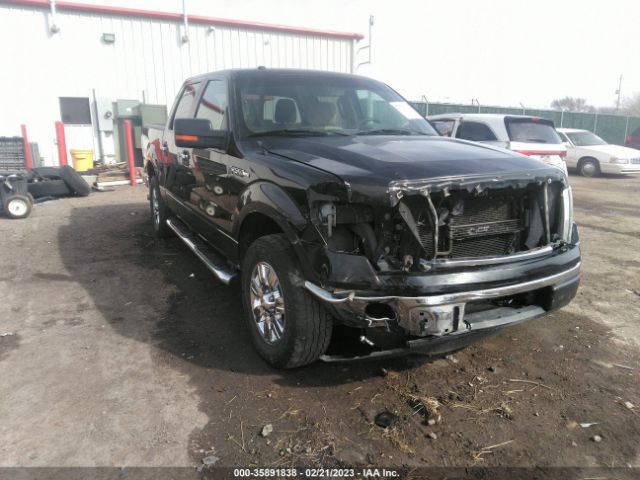 FORD F-150 2012 1ftew1cm8ckd09085