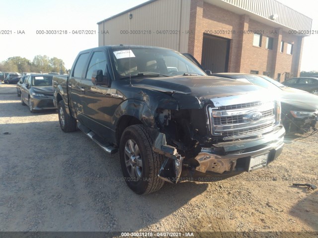 FORD F-150 2013 1ftew1cm8dfc92007