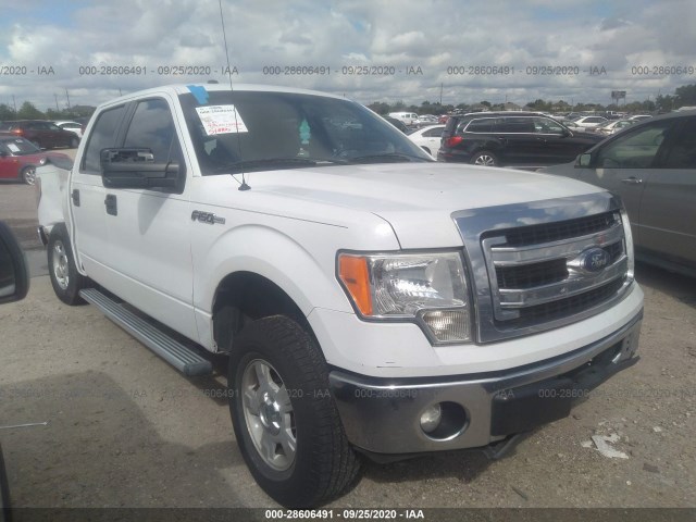 FORD F-150 2013 1ftew1cm8dkd30228