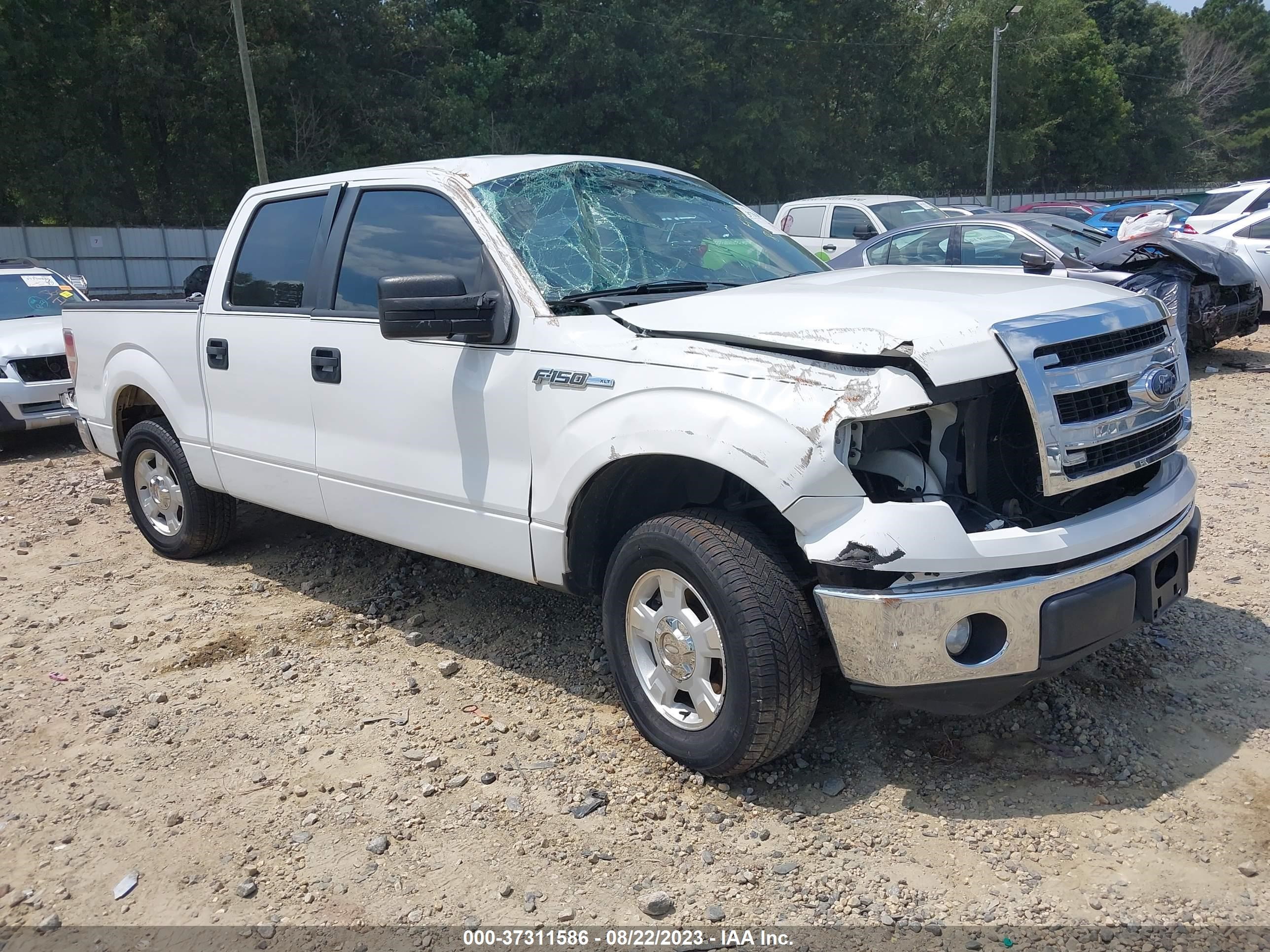 FORD F-150 2013 1ftew1cm8dke16381