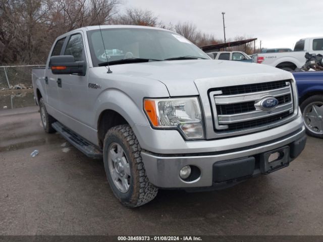 FORD F-150 2013 1ftew1cm8dke19099