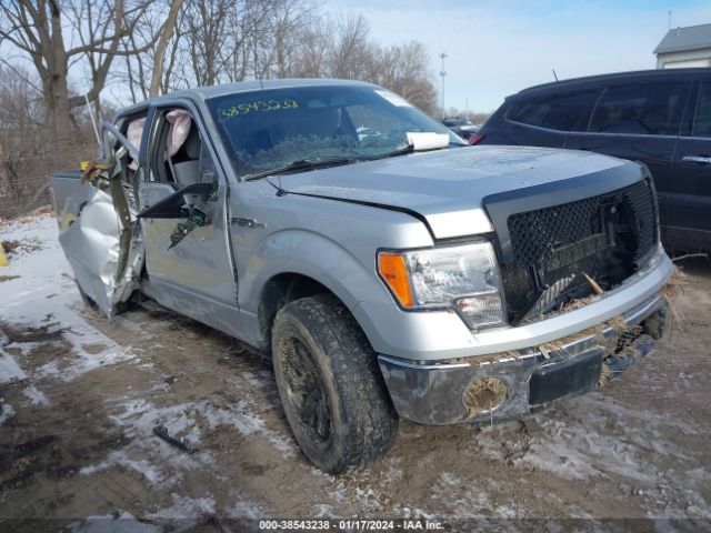 FORD F-150 2014 1ftew1cm8efa19442