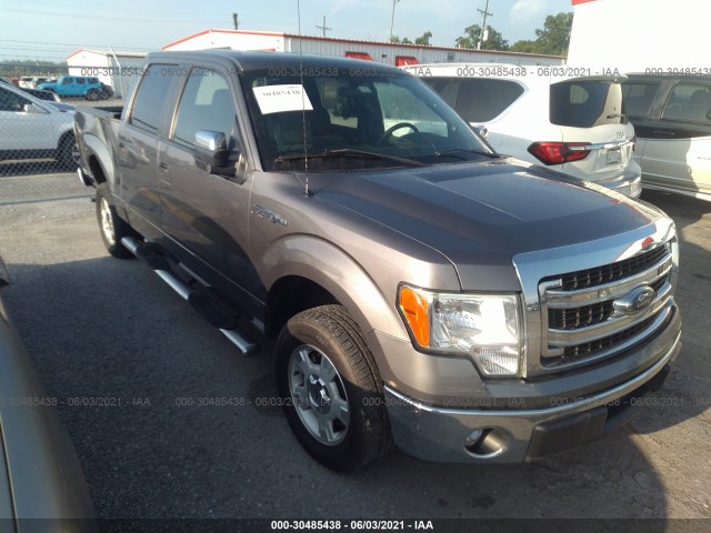 FORD F-150 2014 1ftew1cm8efa94514