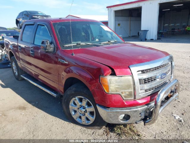 FORD F-150 2014 1ftew1cm8efb42464