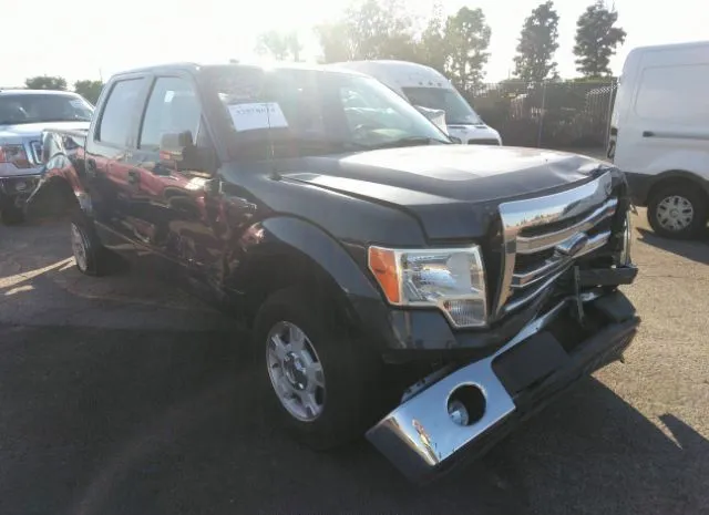 FORD F-150 2014 1ftew1cm8efb77019