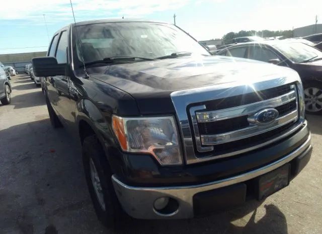 FORD F-150 2014 1ftew1cm8ekd53977