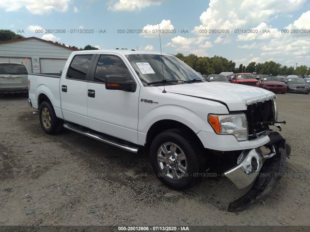 FORD F-150 2012 1ftew1cm9ckd41589