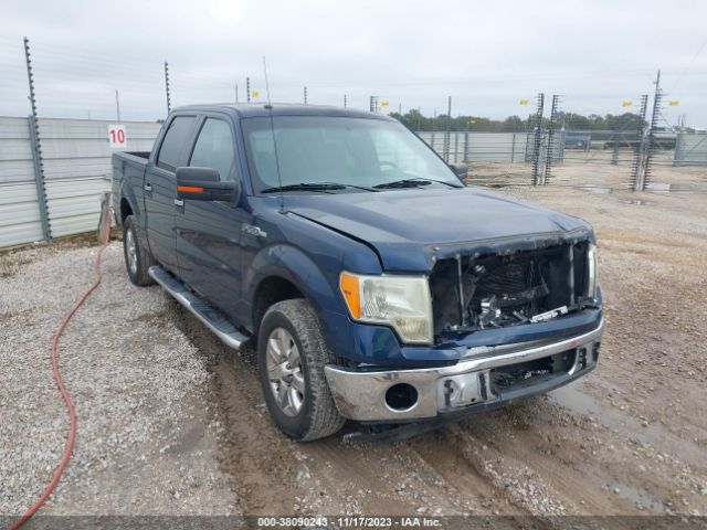 FORD F-150 2013 1ftew1cm9dkd06262