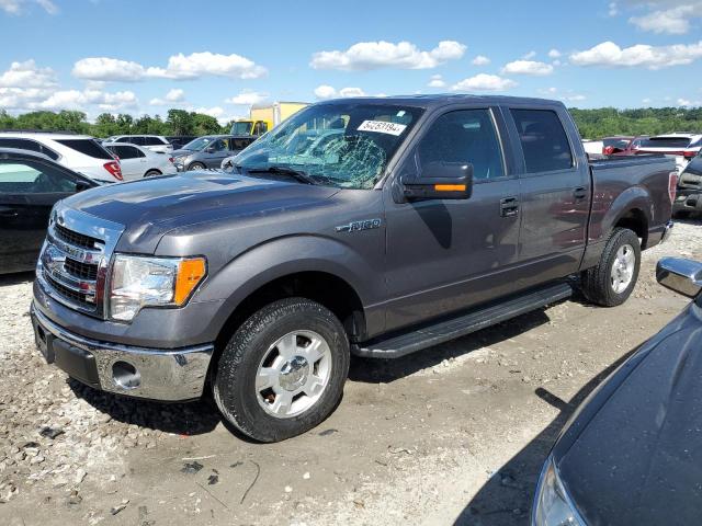 FORD F-150 2013 1ftew1cm9dkf06705