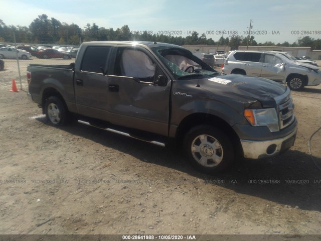 FORD F-150 2014 1ftew1cm9efb93228