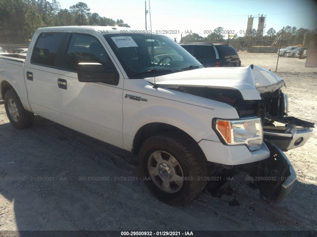 FORD F-150 2014 1ftew1cm9ekd49498