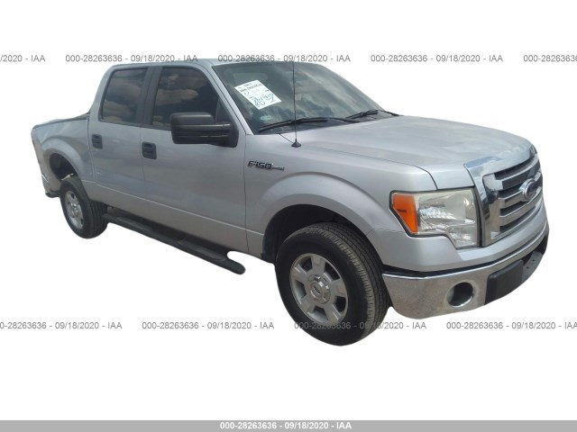 FORD F-150 2011 1ftew1cmxbkd21933