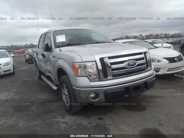 FORD F-150 2012 1ftew1cmxcfa73693