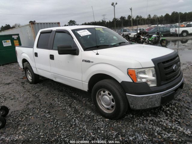 FORD F-150 2012 1ftew1cmxcfb74961