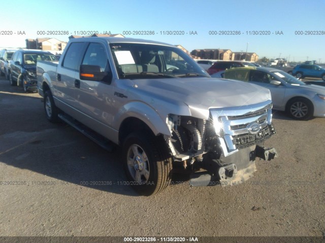 FORD F-150 2012 1ftew1cmxcfd02437