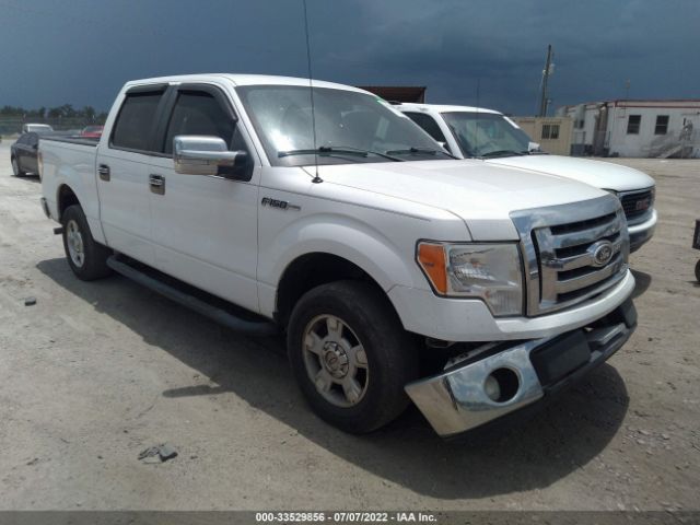 FORD F-150 2012 1ftew1cmxckd18516