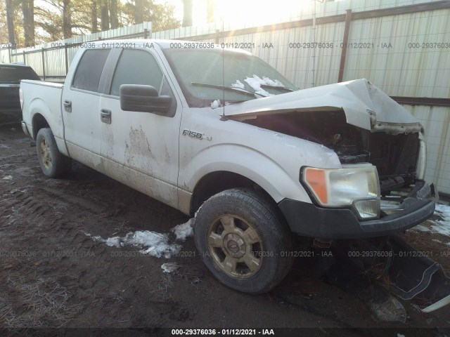 FORD F-150 2012 1ftew1cmxckd34893