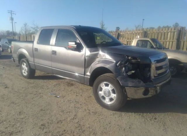 FORD F-150 2013 1ftew1cmxdfa53753