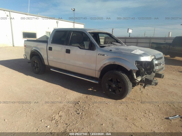 FORD F-150 2013 1ftew1cmxdfa90821