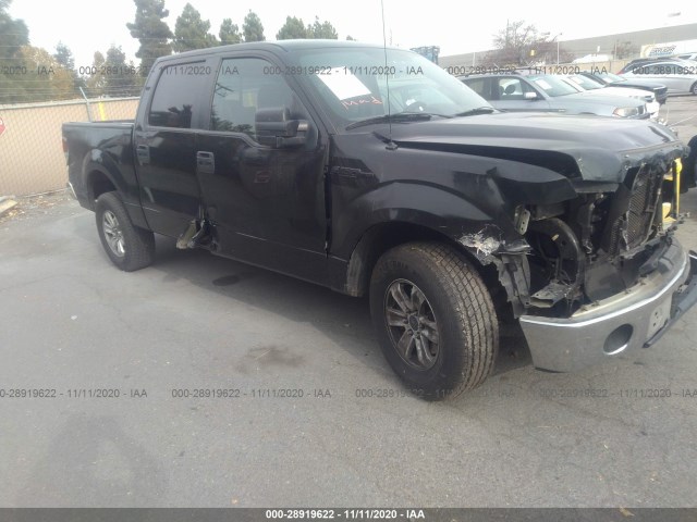 FORD F-150 2013 1ftew1cmxdfb46109