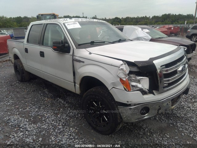 FORD F-150 2013 1ftew1cmxdfc54391